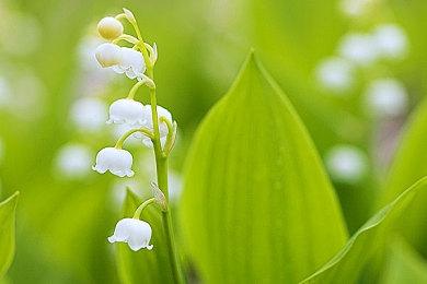 拉瑞安总监：下一款游戏还需要相当一段时间才能公开